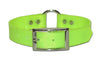 Omnipet Sunglo Regular Dog Collar