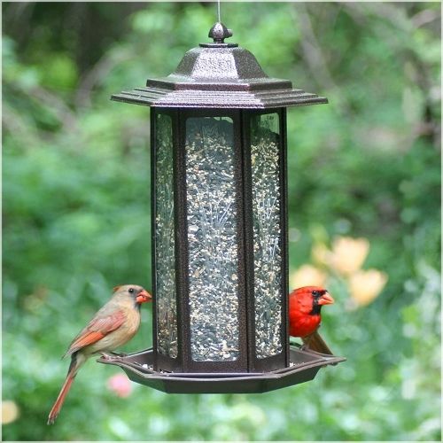 Perky Pet Tall Tulip Garden Lantern Bird Feeder