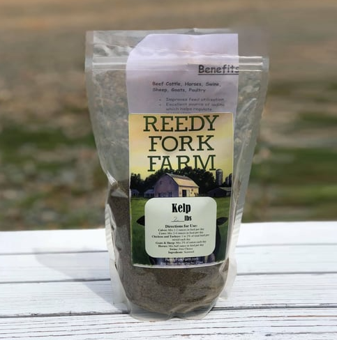 Reedy Fork Farm North American Kelp (2 LB)