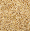 Athen's Seed	White Feed Millet for Birds (50 LB)