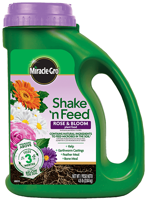 Miracle-Gro® Shake 'n Feed® Rose & Bloom Plant Food (1 LB)