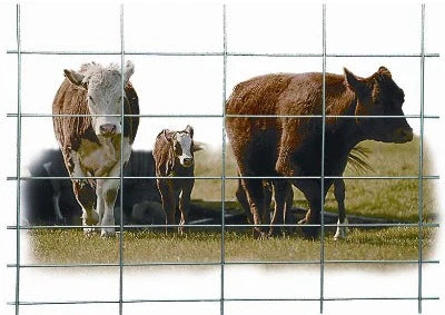 Hutchison Wire Cattle Panels