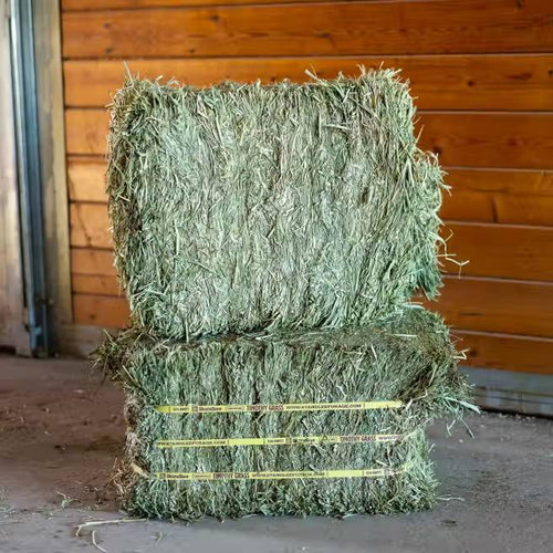 Standlee Premium Western Forage Certified Timothy Grass Compressed Bales