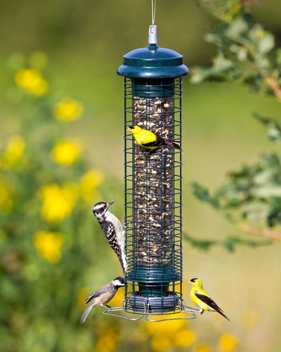 Brome Squirrel Solution® 150 Tube Bird Feeder