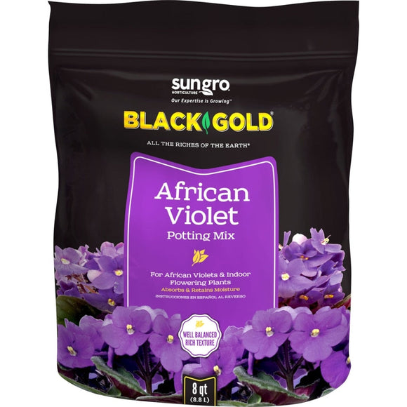 Black Gold African Violet Mix (8 QT)