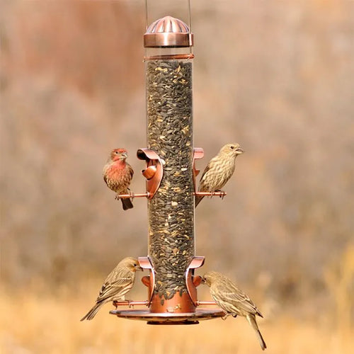 Woodstream Perky Pet Copper Finish 2 In 1 Wild Bird Feeder