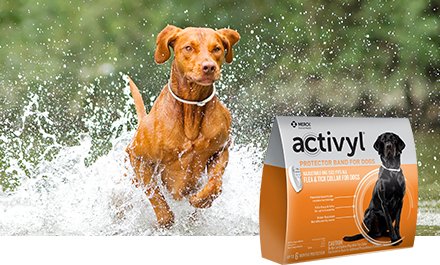 Merck Activyl Spot on For Dogs