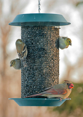 WoodLink Plastic Magnum Sunflower Screen Feeder (8.500