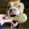 Bullymake Drumstick Nylon Dog Toy For Power Chewers
